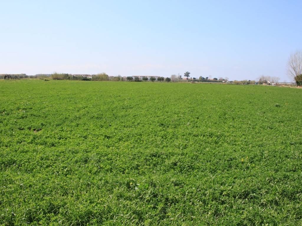 Terreno a Scalea in Via della Libertà - Foto 2