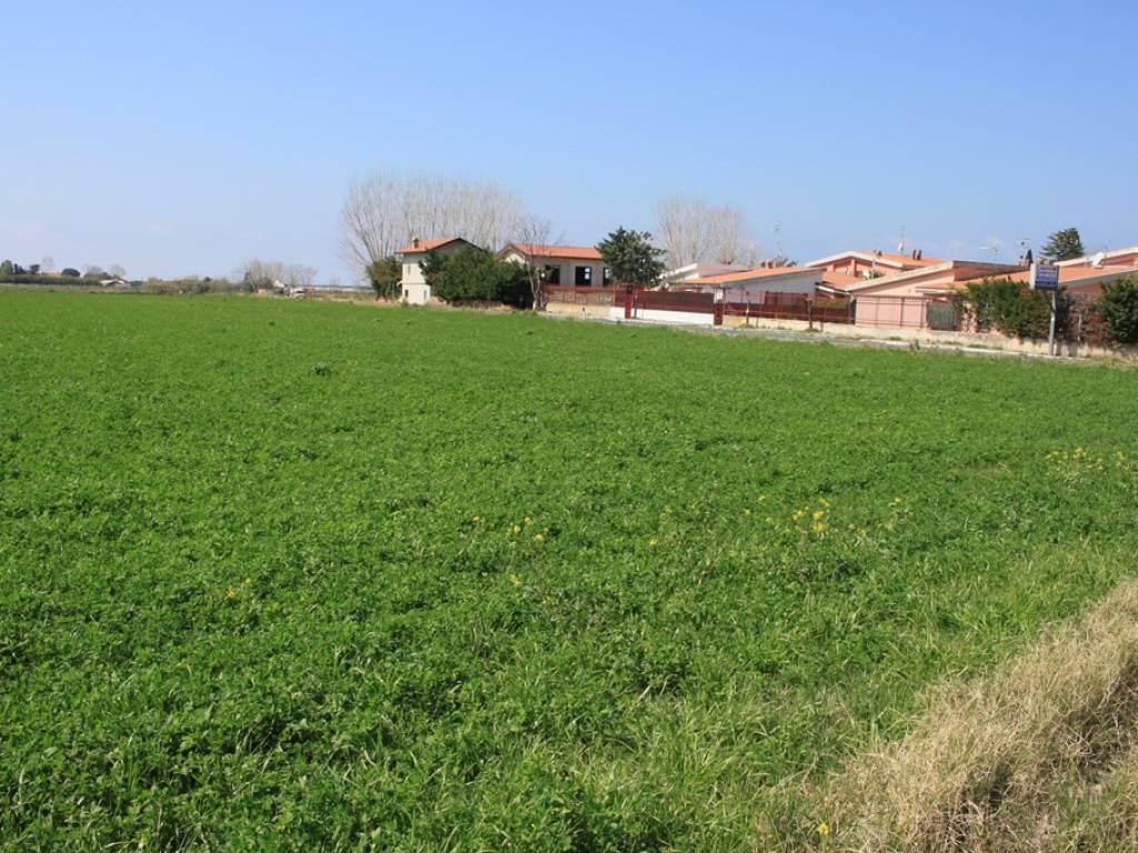 Terreno a Scalea in Via della Libertà - Foto 3