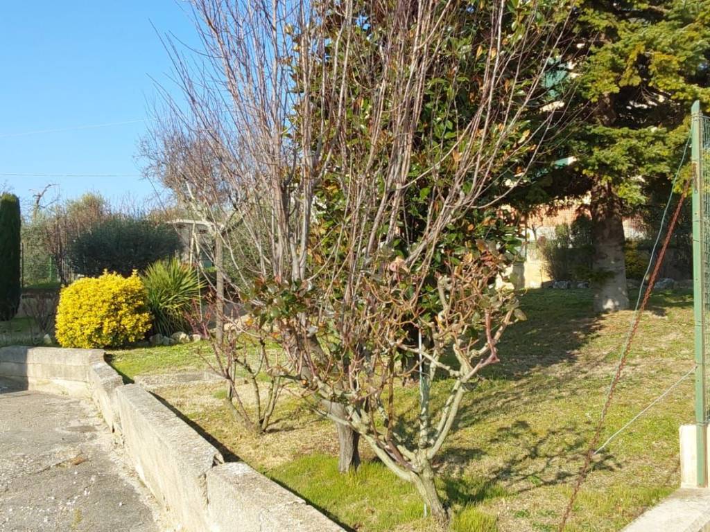 Appartamento a Treia - Foto 3