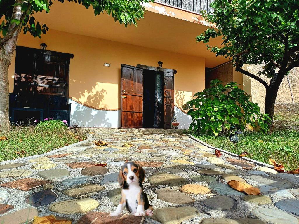 Villa a Trecchina in Via Valle - Foto 2