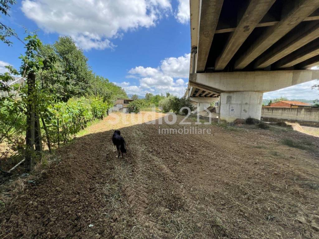 Terreno a Montevarchi - Foto 4