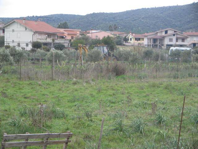 Terreno a Narcao in Località Is Puxeddus - Foto 4
