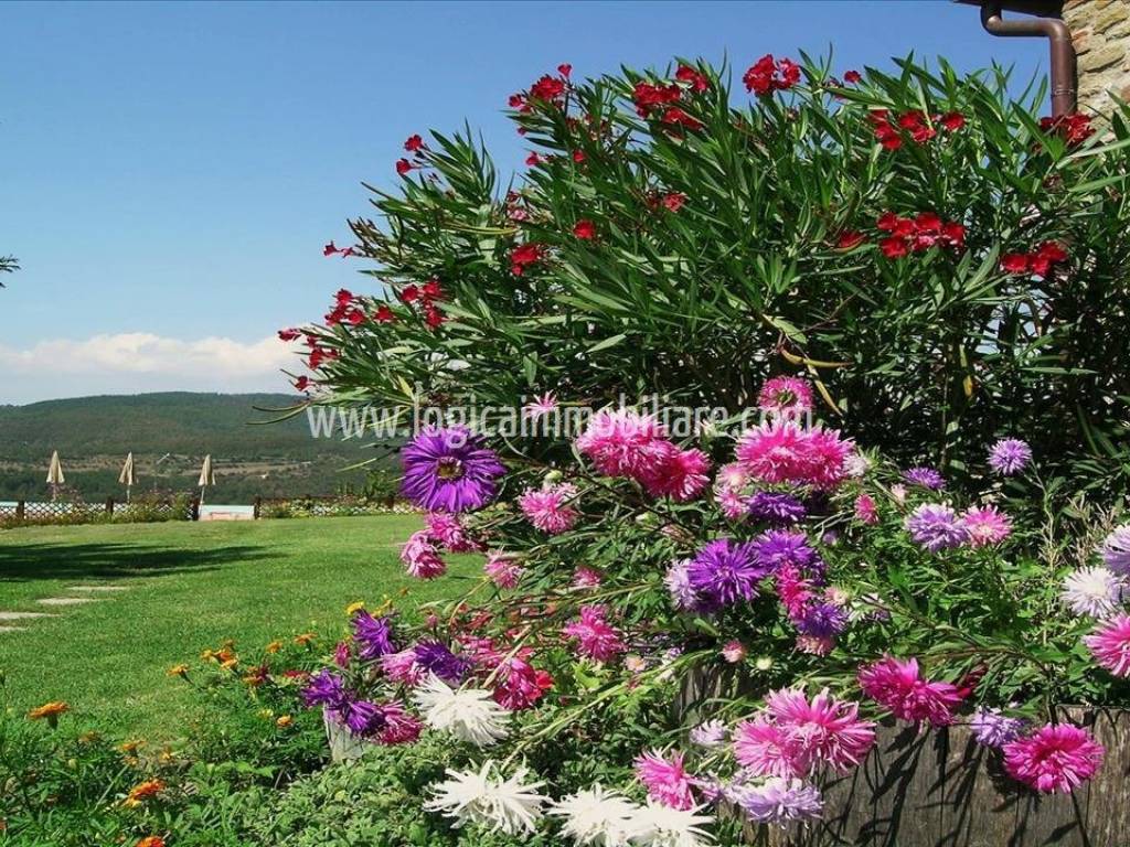 Rustico / casale a Arezzo in Via Scopetone - Foto 5