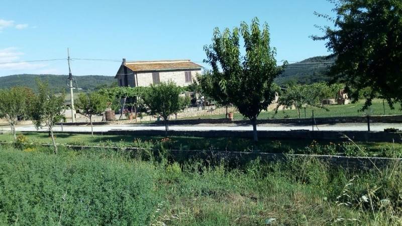 Rustico / casale a Monterotondo marittimo - Foto 3