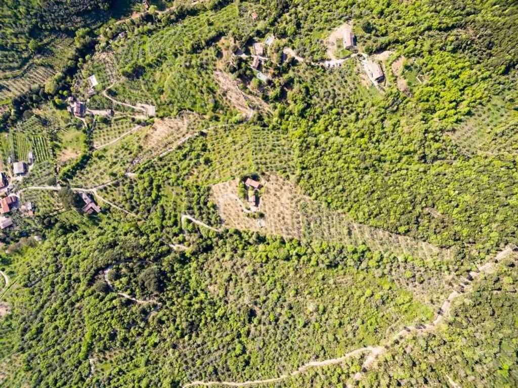 Rustico / casale a Cortona - Foto 5