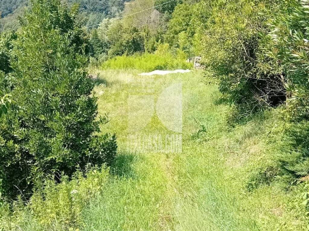Terreno a Cenate sopra in GAVERINI - Foto 4