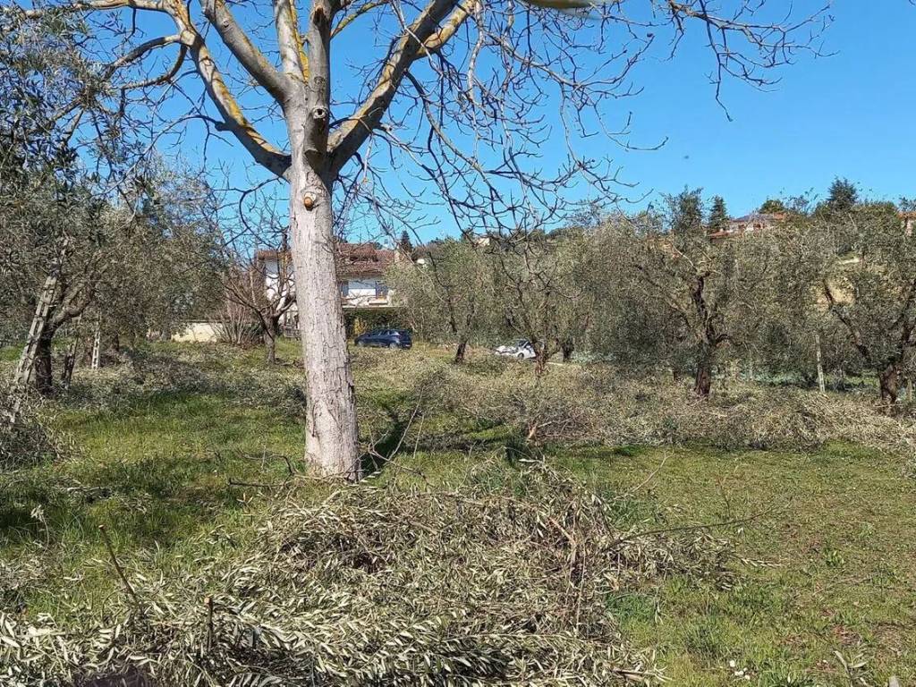 Terreno a Colli del tronto in Via Villa Morganti, 8 - Foto 2