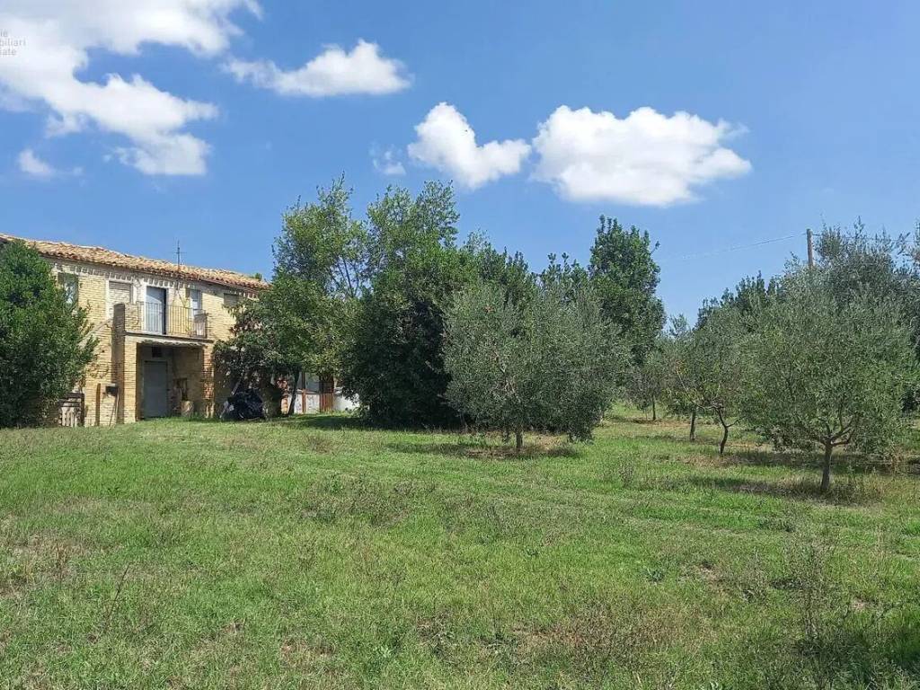 Rustico / casale a Offida in Contrada Lava, 71 - Foto 2