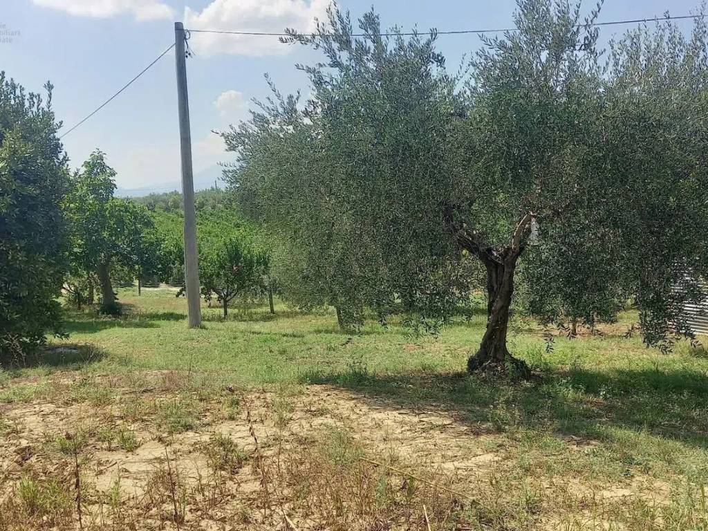 Rustico / casale a Offida in Contrada Lava, 71 - Foto 3