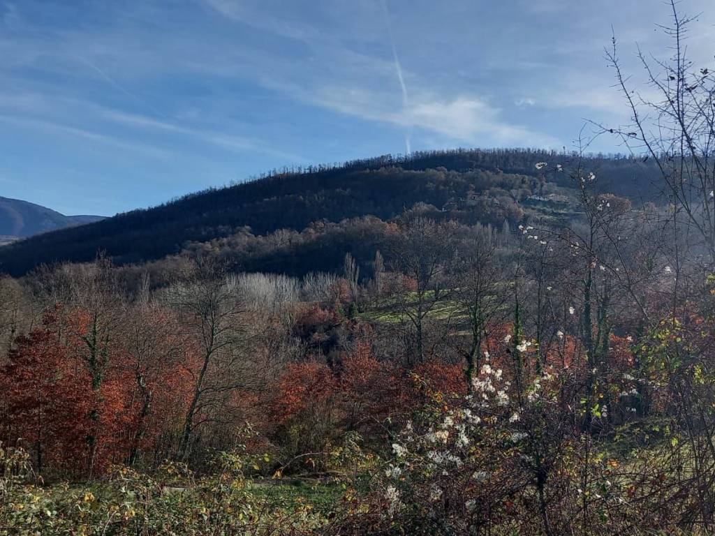 Terreno a Valtopina in Via Vallemare - Foto 4