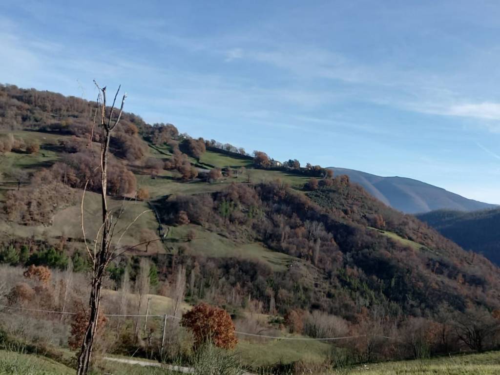 Terreno a Valtopina in Via Vallemare - Foto 5
