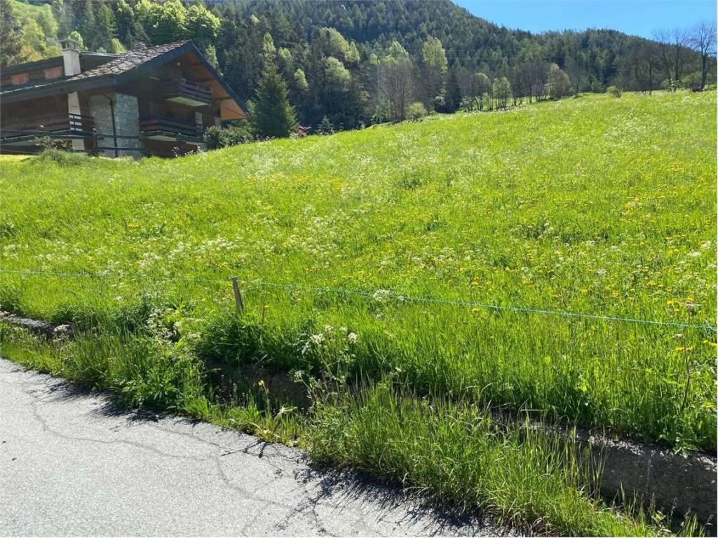 Terreno a Brusson in Frazione Extrapieraz - Foto 5