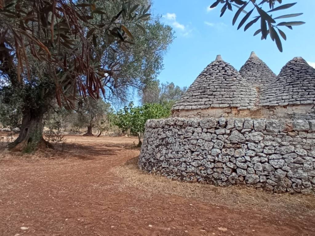 Rustico / casale a San michele salentino in Contrada Sardella - Foto 2