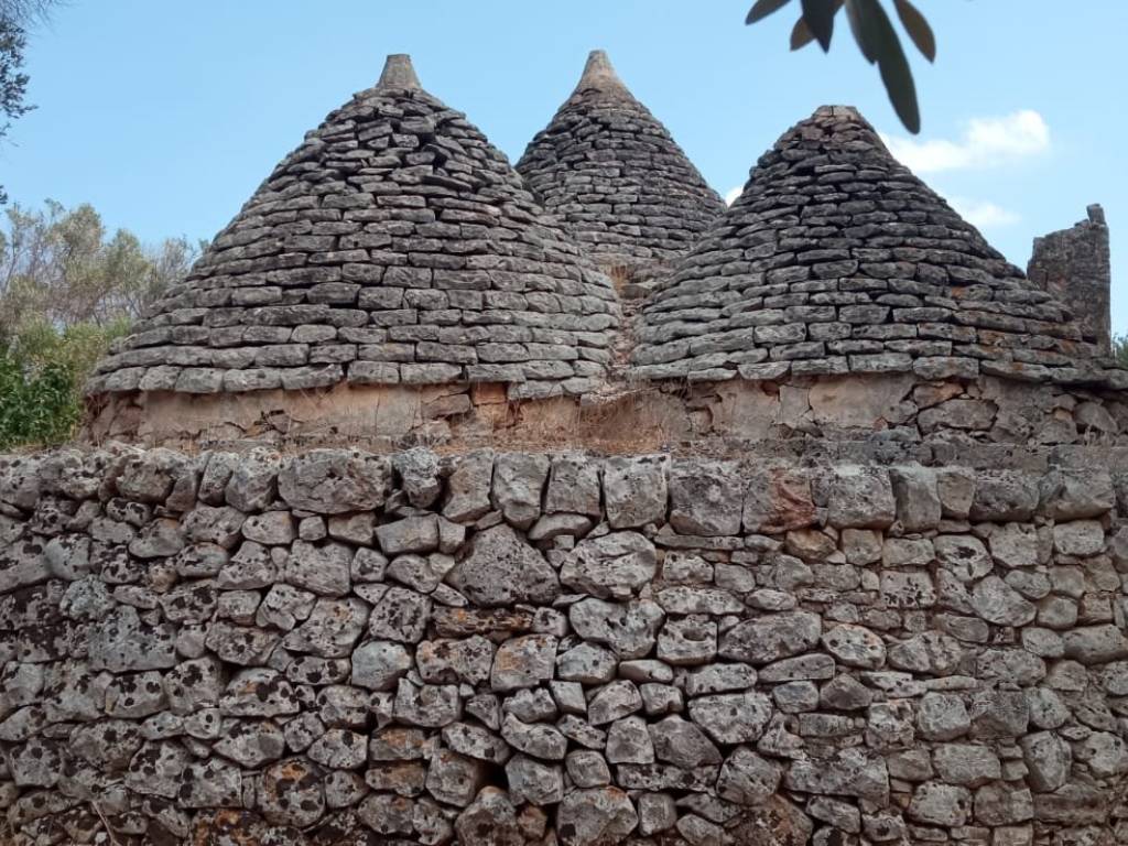 Rustico / casale a San michele salentino in Contrada Sardella - Foto 4