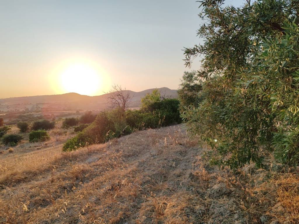 Terreno a Sinnai - Foto 2