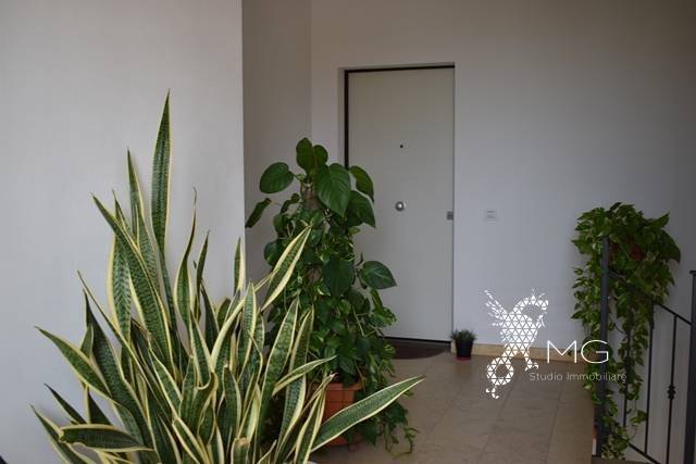 Appartamento a Rosignano marittimo in Via Angelo Poliziano - Foto 5