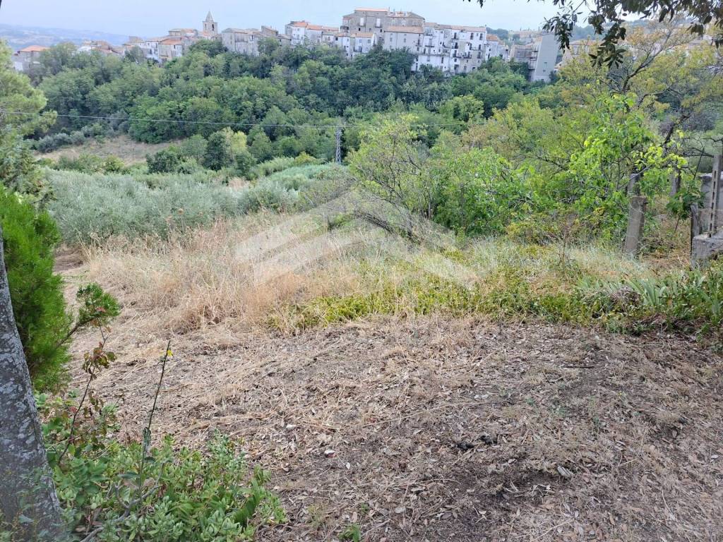 Terreno a Castelbottaccio - Foto 3