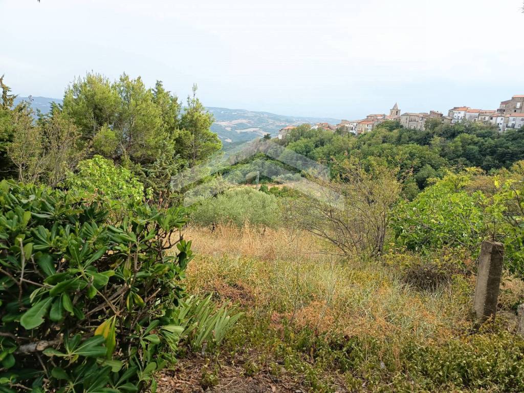 Terreno a Castelbottaccio - Foto 4