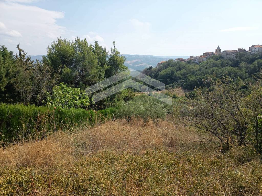 Terreno a Castelbottaccio - Foto 5