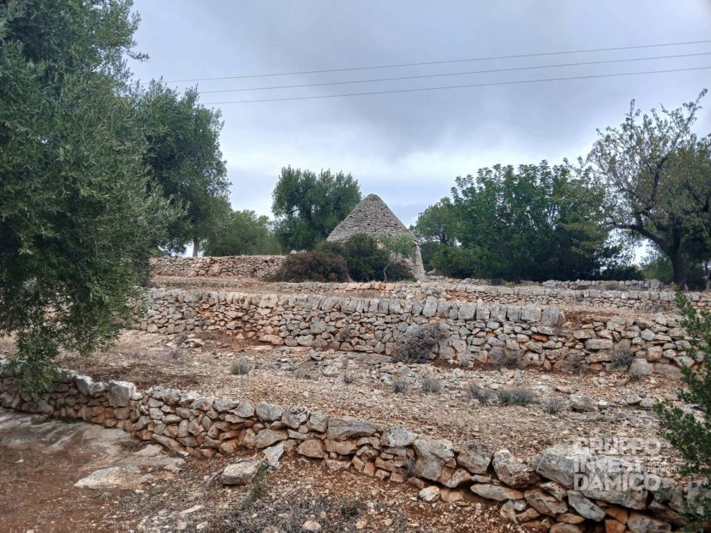 Terreno a Fasano in Strada Comunale Giardinelli - Foto 2