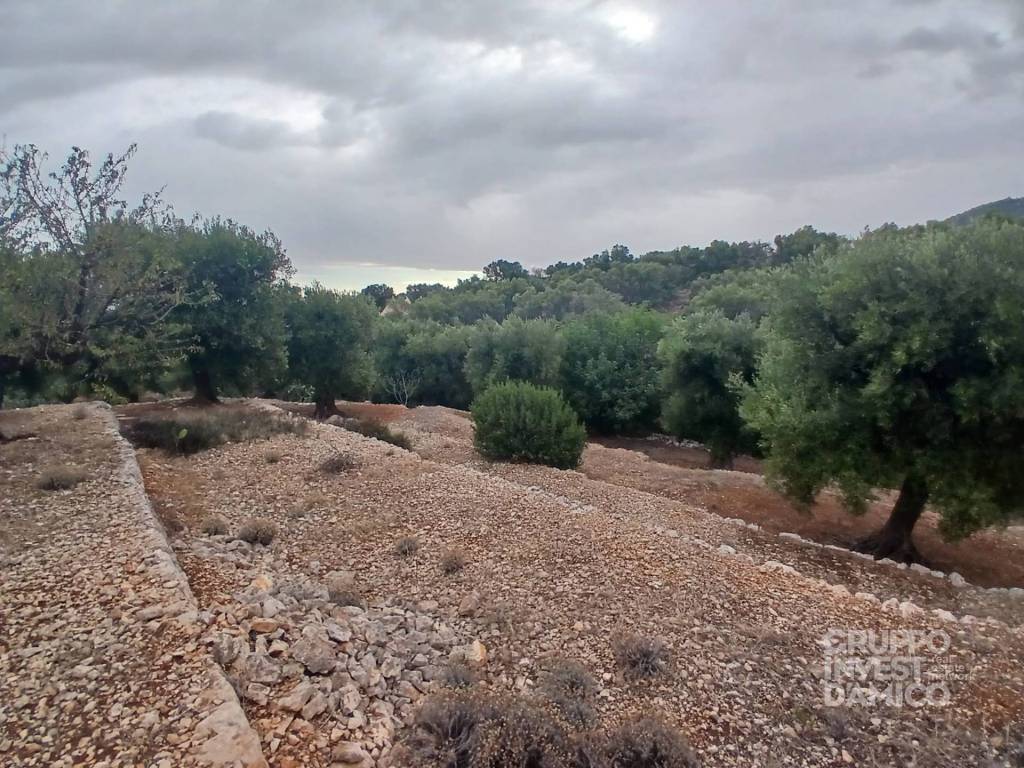 Terreno a Fasano in Strada Comunale Giardinelli - Foto 4