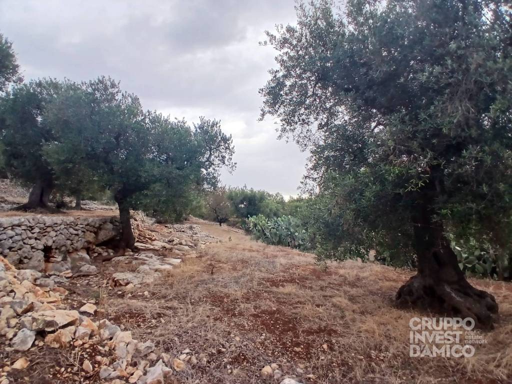 Terreno a Fasano in Strada Comunale Giardinelli - Foto 5