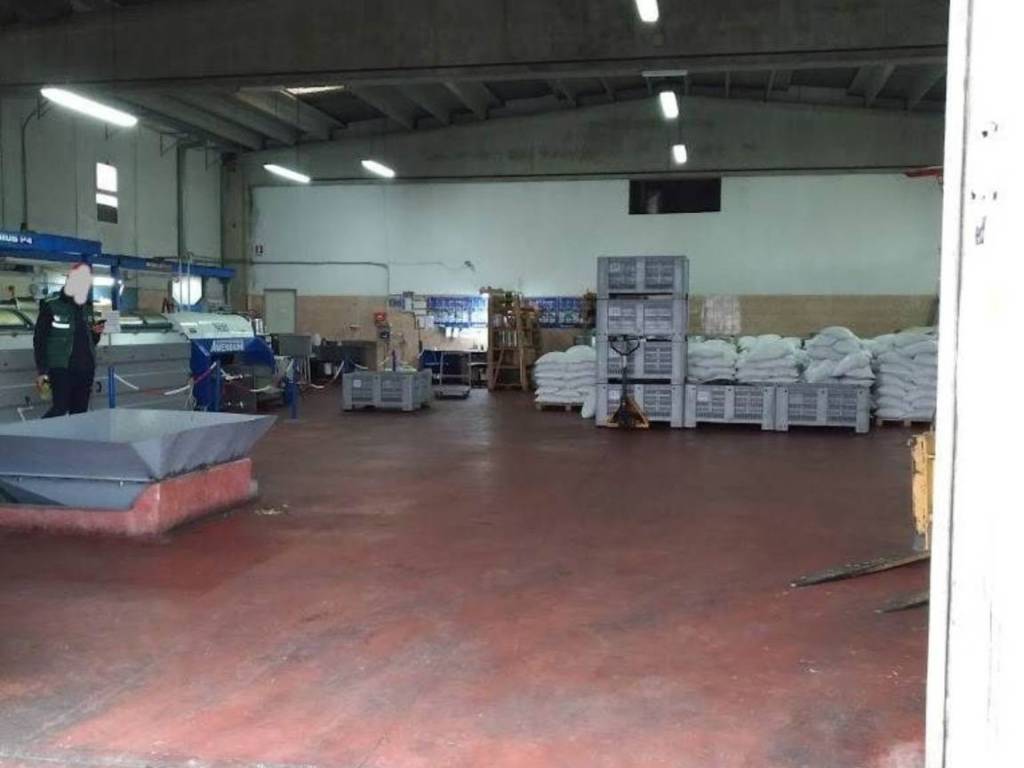 Rustico / casale a Montalto uffugo - Foto 3