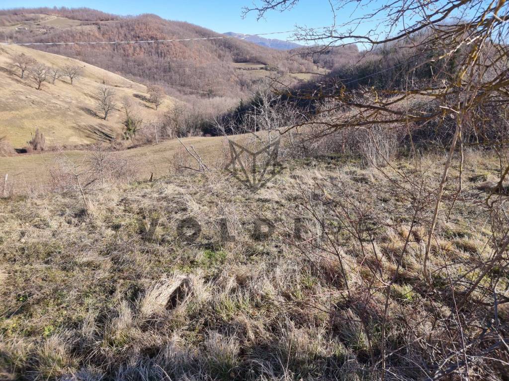 Terreno a Assisi in SR444 - Foto 5