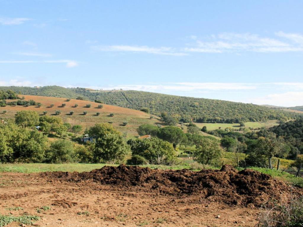 Rustico / casale a Magliano in toscana in apparita - Foto 4