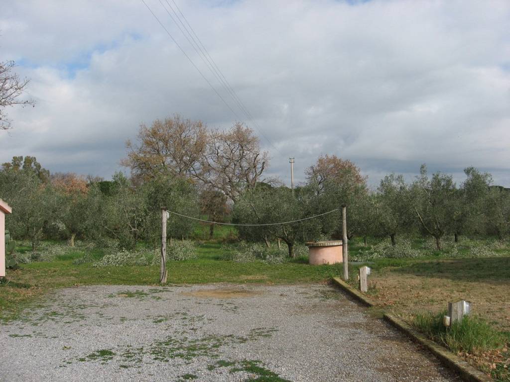 Rustico / casale a Capalbio in Strada Pescia Fiorentina Chiarone - Foto 3