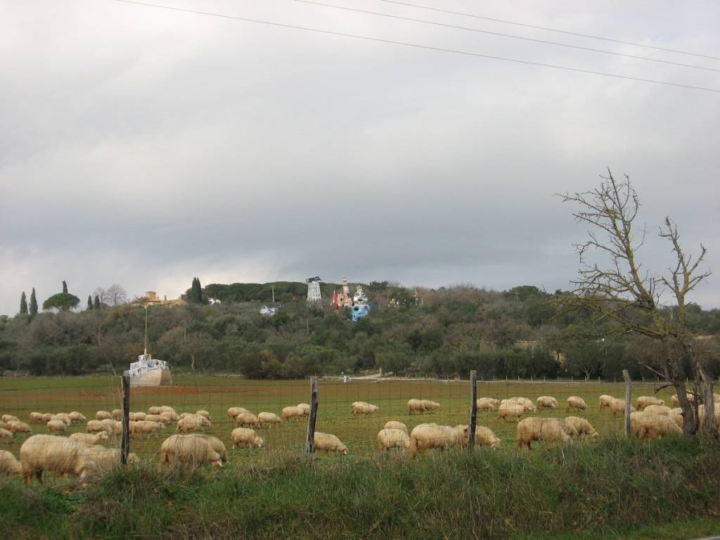 Rustico / casale a Capalbio in Strada Pescia Fiorentina Chiarone - Foto 4
