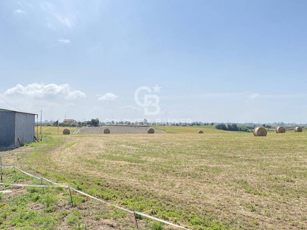 Terreno a Montalto di castro in località Argento - Foto 2