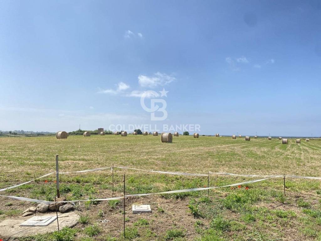 Terreno a Montalto di castro in località Argento - Foto 3