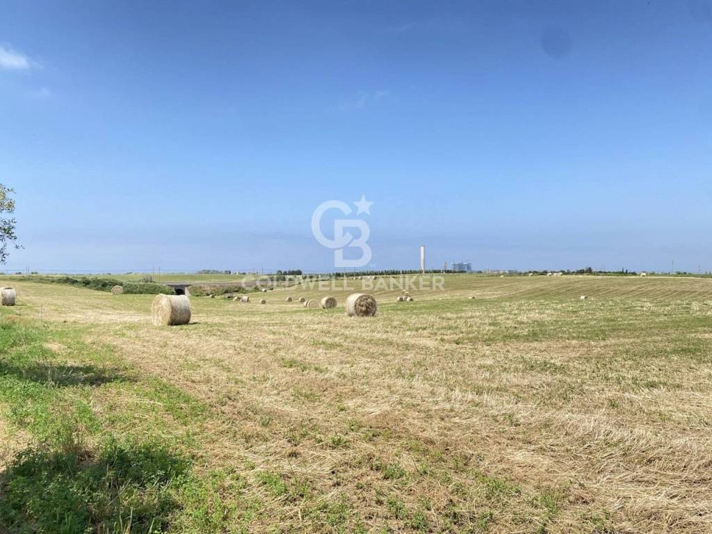 Terreno a Montalto di castro in località Argento - Foto 4