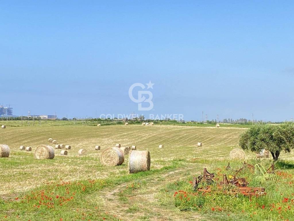 Terreno a Montalto di castro in località Argento - Foto 5