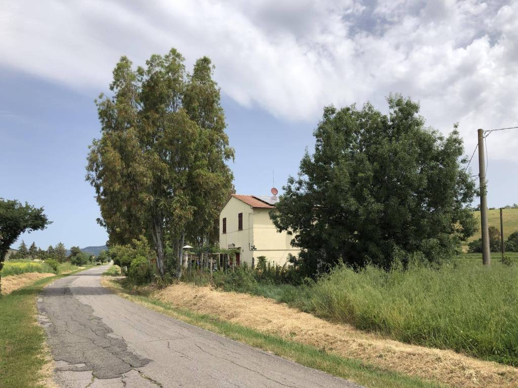 Rustico / casale a Campagnatico in Località Sabatina - Foto 2