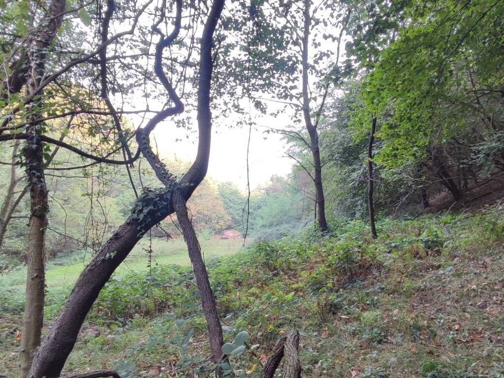 Rustico / casale a Revello in Via Comba San Grato - Foto 3