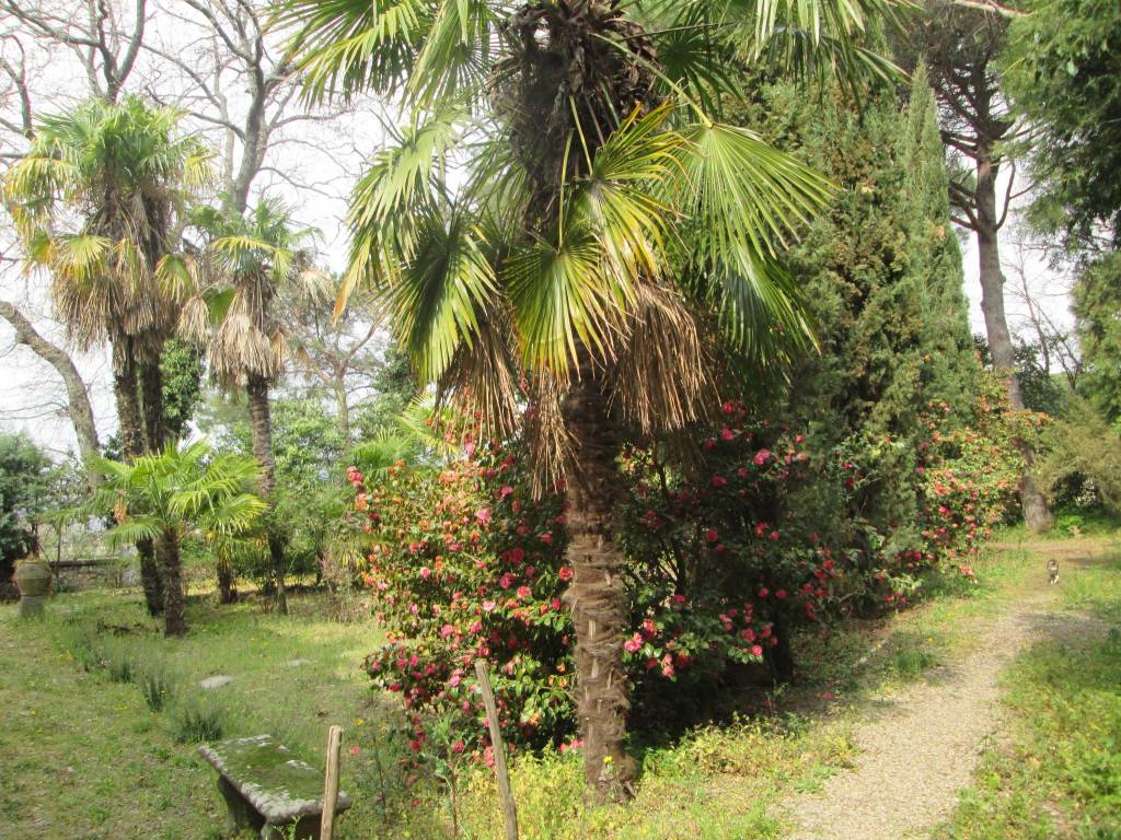 Villa a Viterbo in Strada Sammartinese - Foto 2