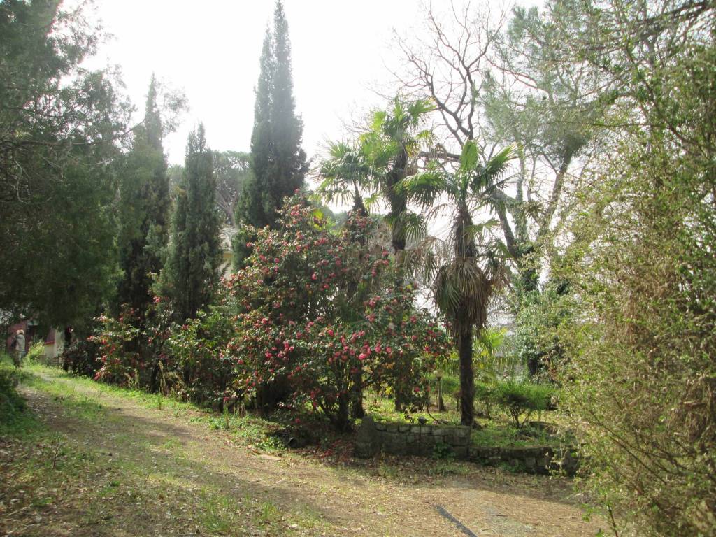 Villa a Viterbo in Strada Sammartinese - Foto 3