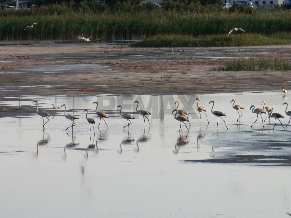 Appartamento a Policoro in San Giusto - Foto 2