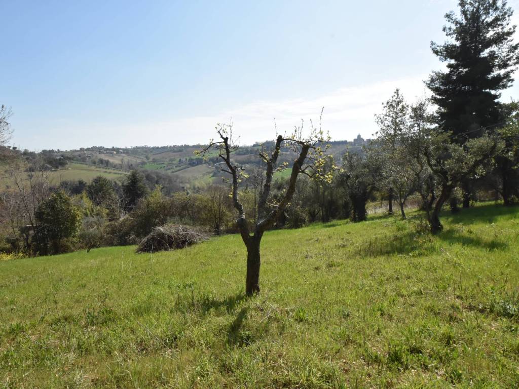 Terreno a Macerata in Contrada Pace - Foto 5