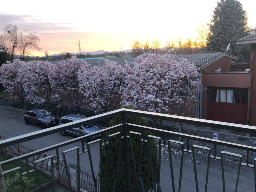 Appartamento a Parma in Via Fratelli Zaccarini - Foto 2