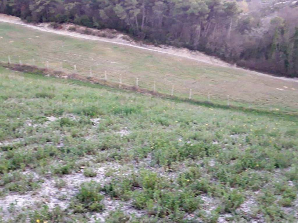 Terreno a Spoleto in Frazione Uncinano - Foto 2