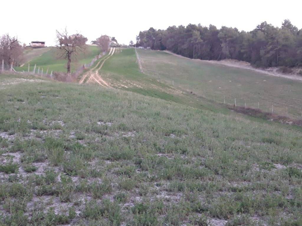 Terreno a Spoleto in Frazione Uncinano - Foto 3
