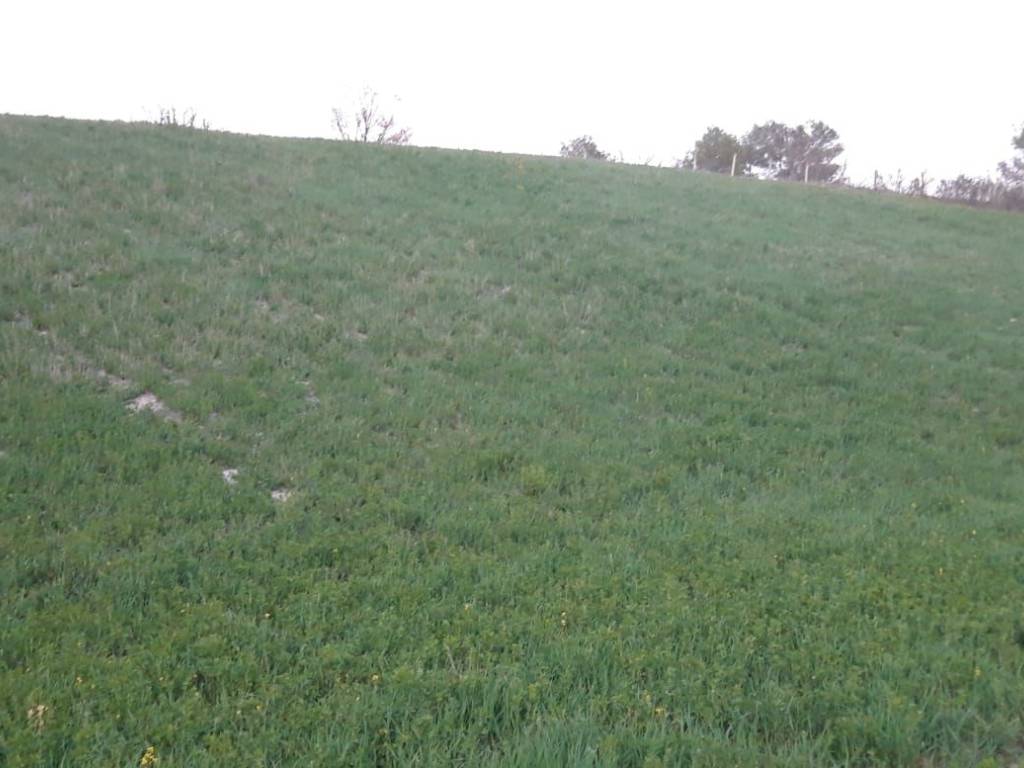 Terreno a Spoleto in Frazione Uncinano - Foto 4