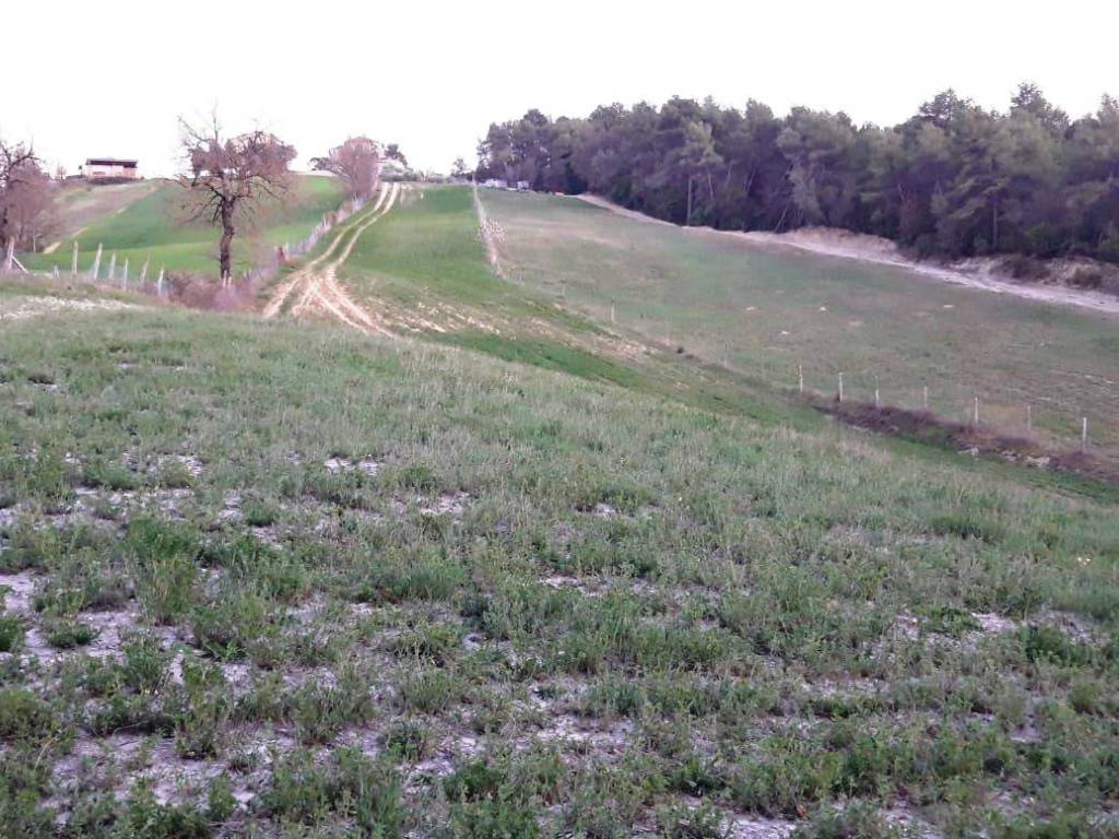Terreno a Spoleto in Frazione Uncinano - Foto 5