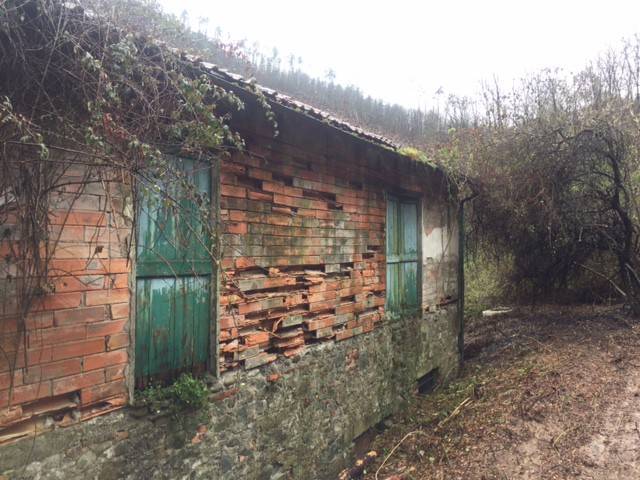 Rustico / casale a Borghetto di vara in Via Aurelia - Foto 2