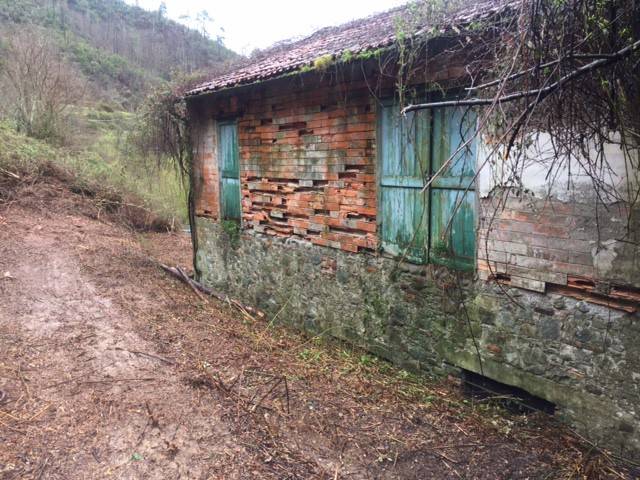 Rustico / casale a Borghetto di vara in Via Aurelia - Foto 5