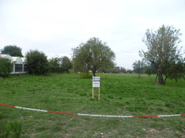 Terreno a Mozzagrogna in Contrada Cupa Re di Coppe - Foto 2