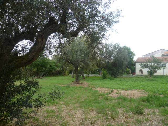 Terreno a Mozzagrogna in Contrada Cupa Re di Coppe - Foto 3